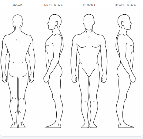 Body diagram showing back, left side, front and right side views